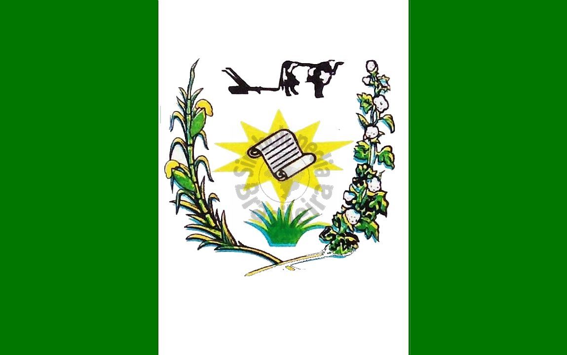 Imagem da Bandeira Alagoinhas
