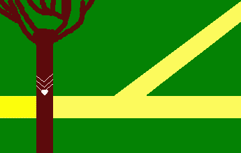 Imagem da Bandeira Assis Brasil