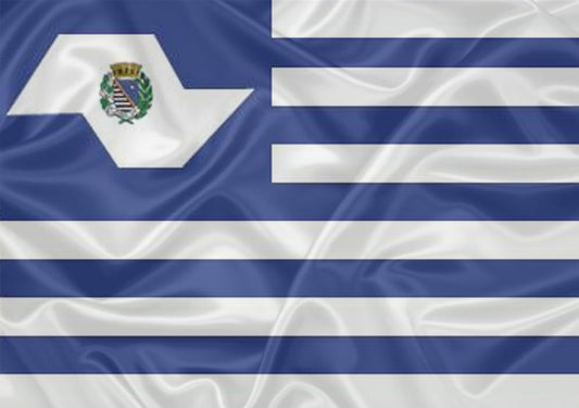 Imagem da Bandeira Araçatuba