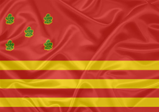 Imagem da Bandeira Ilhéus