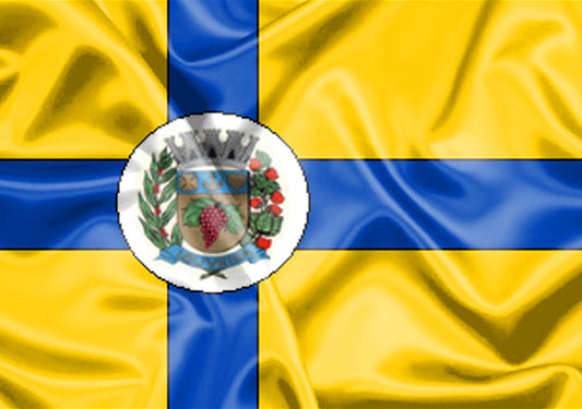 Imagem da Bandeira Louveira