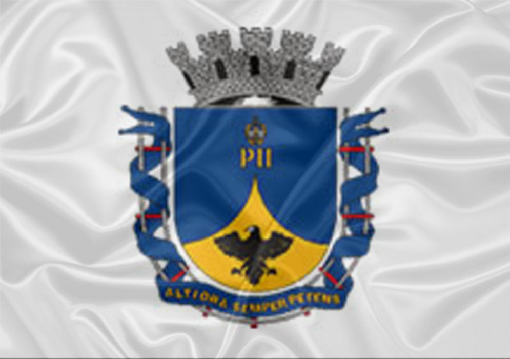 Imagem da Bandeira Petrópolis