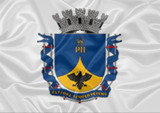 Imagem da Bandeira Petrópolis