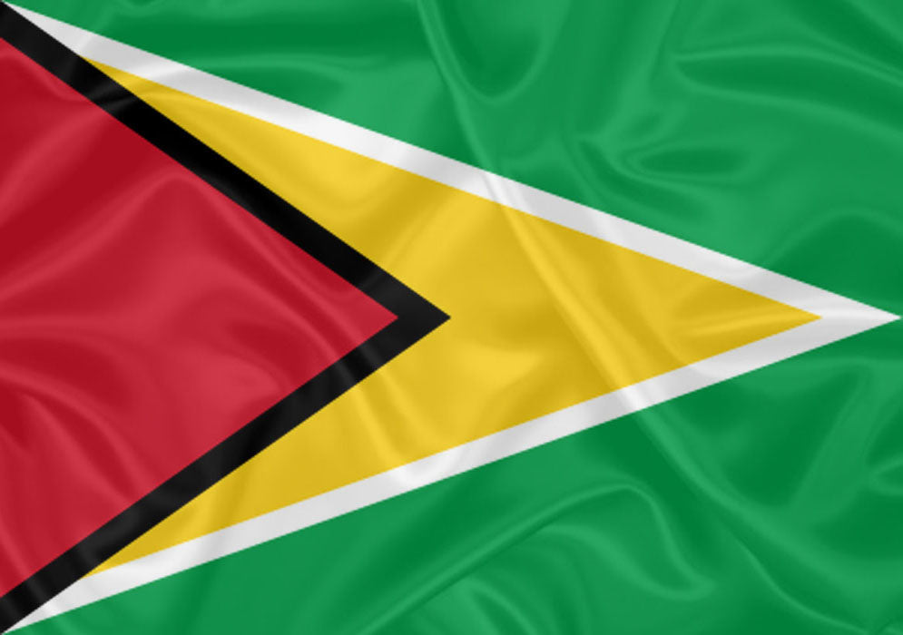 Imagem da Bandeira Guiana