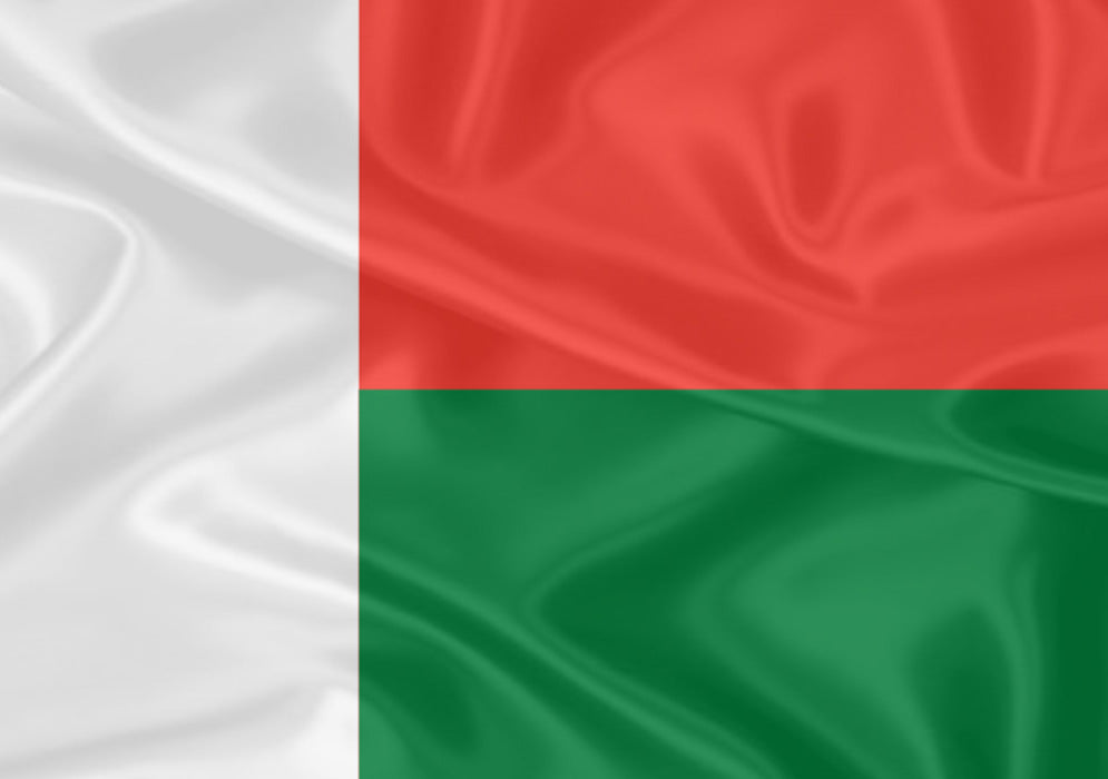 Imagem da Bandeira Madagascar