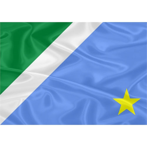Imagem da Bandeira Mato Grosso do Sul