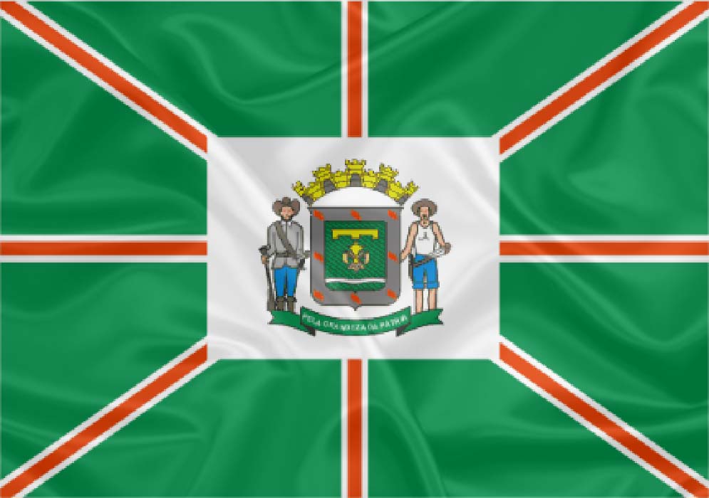 Imagem da Bandeira Goiânia
