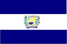 Imagem da Bandeira Caldas Brandão