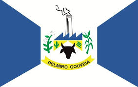 Imagem da Bandeira Delmiro Gouveia