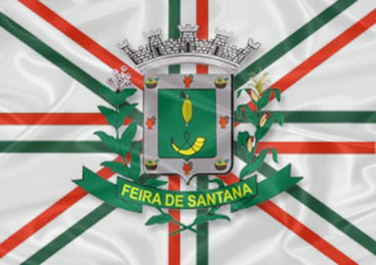 Imagem da Bandeira Feira de Santana