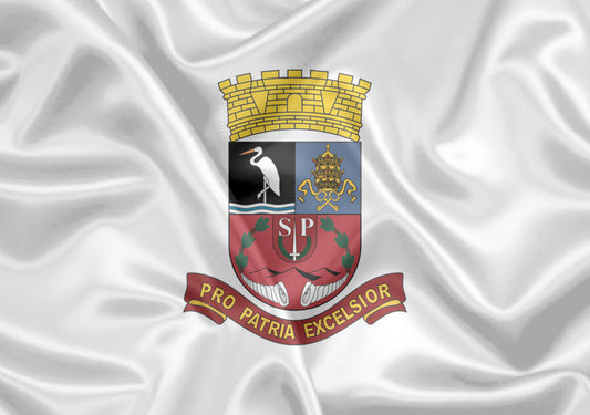 Imagem da Bandeira Garça