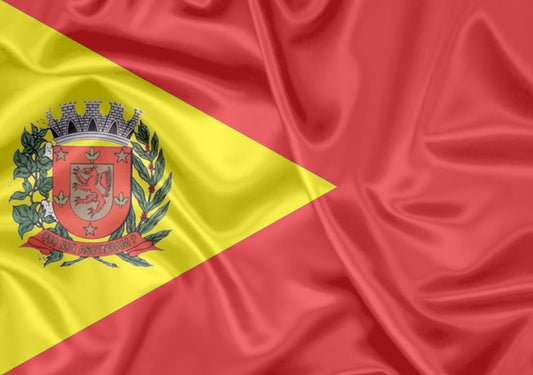 Imagem da Bandeira Guará