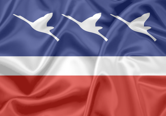 Imagem da Bandeira Guaratinguetá