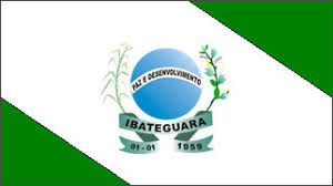 Imagem da Bandeira Ibateguara