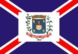 Imagem da Bandeira Minador do Negrão