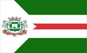 Imagem da Bandeira Nova Floresta