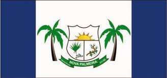 Imagem da Bandeira Nova Palmeira