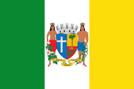 Imagem da Bandeira Palmeira dos Índios