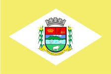 Imagem da Bandeira Porto Real do Colégio