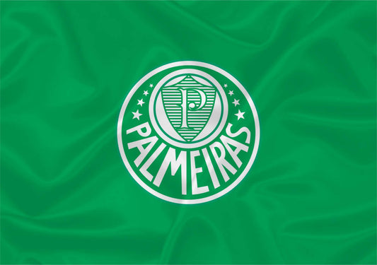 Imagem da Bandeira Palmeirais