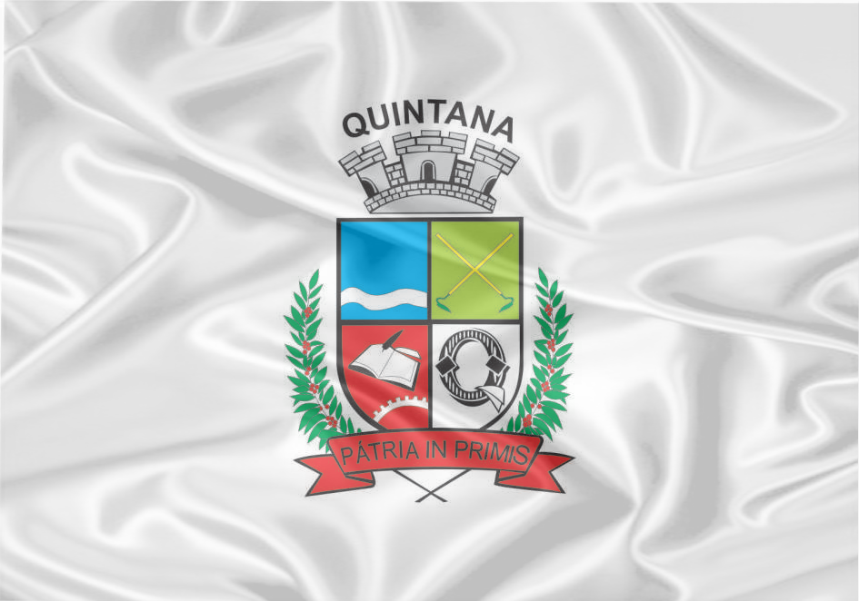 Imagem da Bandeira Quintana