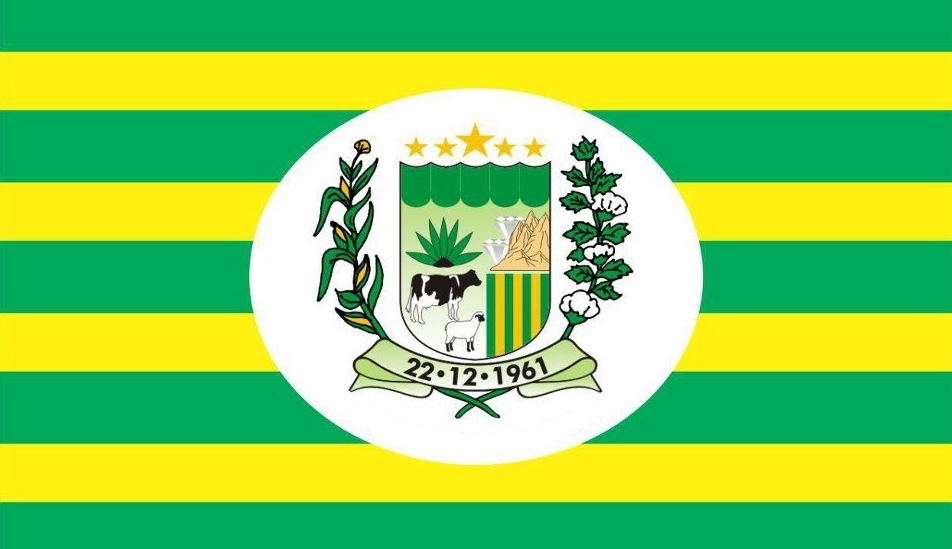 Imagem da Bandeira São Vicente do Seridó