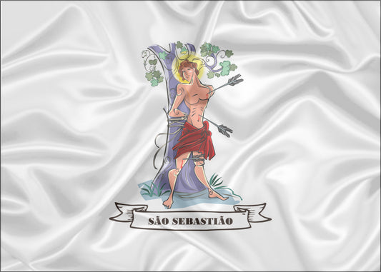 Imagem da Bandeira São Sebastião