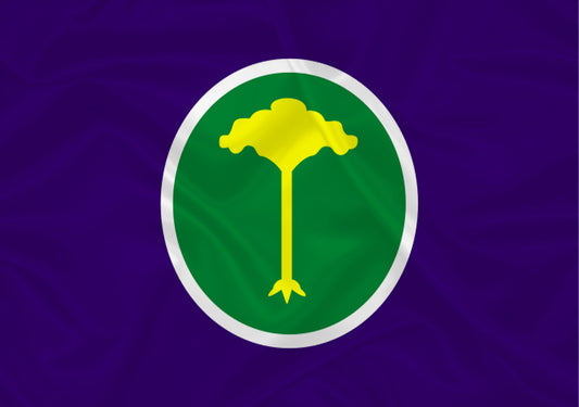 Imagem da Bandeira São Carlos