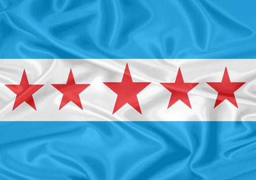 Imagem da Bandeira Sapucaia