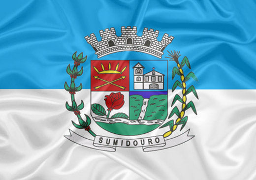 Imagem da Bandeira Sumidouro