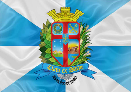 Imagem da Bandeira Timbó