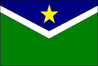 Imagem da Bandeira Vitória do Jari