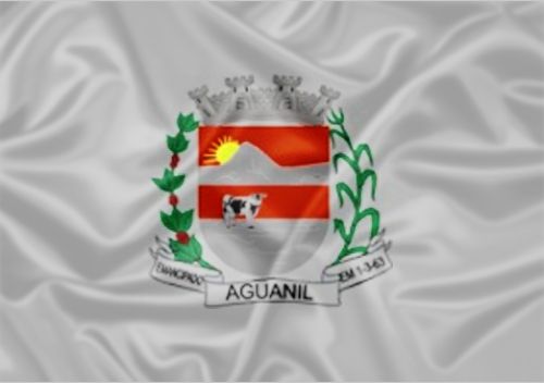 Imagem da Bandeira Aguanil