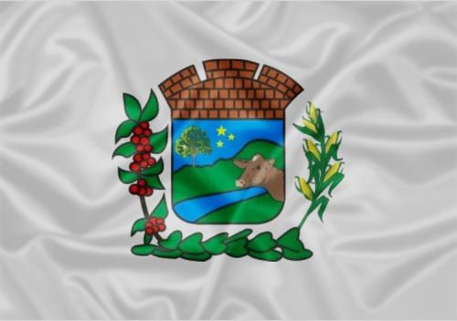 Imagem da Bandeira Alvarenga