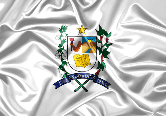 Imagem da Bandeira Andradina