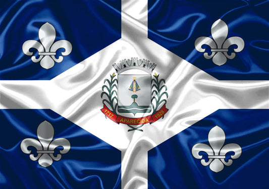 Imagem da Bandeira Aparecida