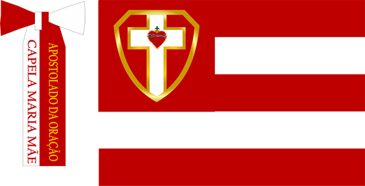 Imagem da Bandeira Coração de Jesus