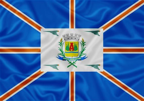 Imagem da Bandeira Araguari