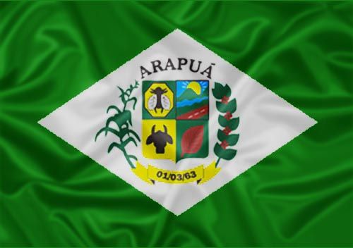 Imagem da Bandeira Arapuá