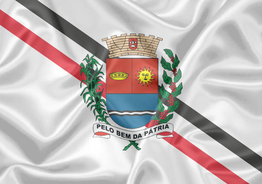 Imagem da Bandeira Araras