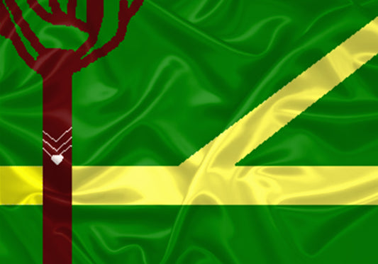 Imagem da Bandeira Assis Brasil