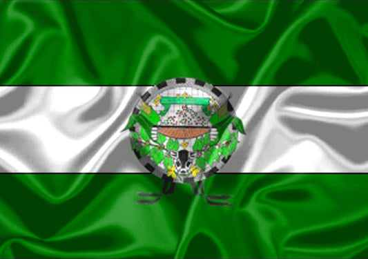 Imagem da Bandeira Alto Rio Novo