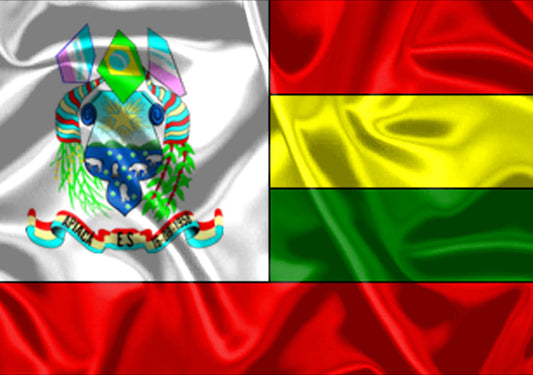 Imagem da Bandeira Apiacá