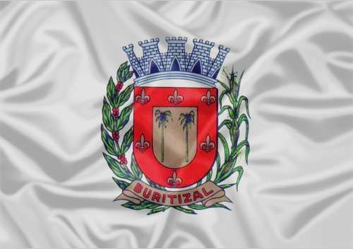 Imagem da Bandeira Buritizal