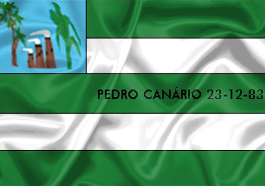 Imagem da Bandeira Pedro Canário