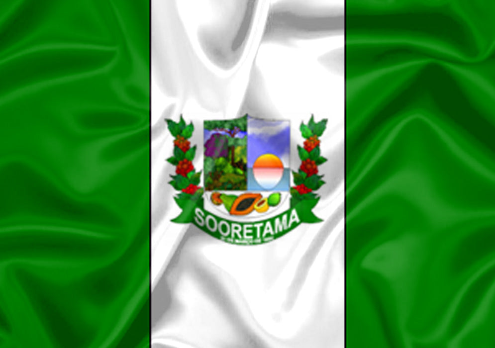 Imagem da Bandeira Sooretama
