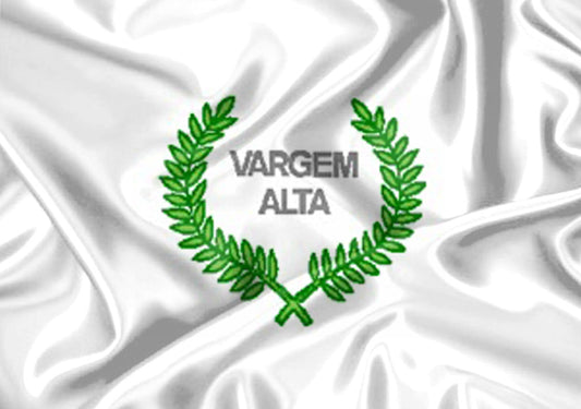 Imagem da Bandeira Vargem Alta