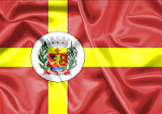 Imagem da Bandeira Alvinlândia