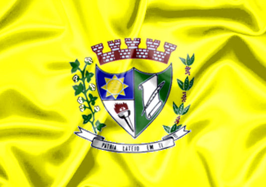 Imagem da Bandeira Bilac
