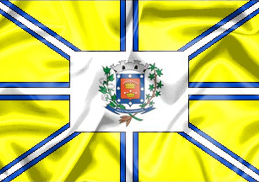 Imagem da Bandeira Conchal